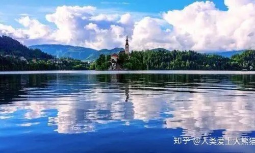八哥犬体味去除方法-如何去掉八哥犬身上的味道网 - 为你提供八哥体臭怎么处理最好、八哥体味重怎么去除
