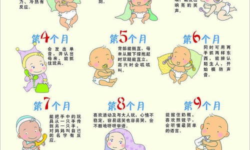 八哥犬体味去除方法-如何去掉八哥犬身上的味道网 - 为你提供八哥体臭怎么处理最好、八哥体味重怎么去除